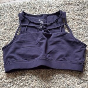 Buff Bunny Purple Sports Bra
